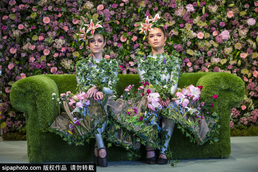英國哈羅蓋特鮮花展 “花花世界”浪漫繽紛