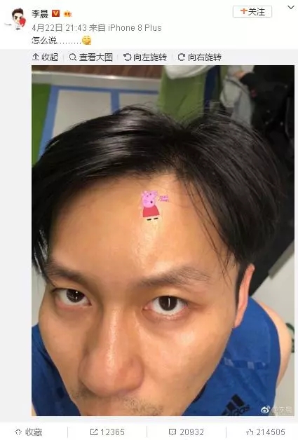 圈粉無數(shù)的小豬佩奇，到底為啥被叫做“社會人”？