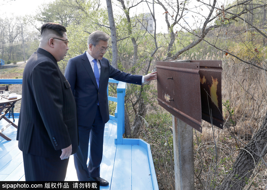 朝韓首腦種下“和平之樹” 半島局勢(shì)迎新開端