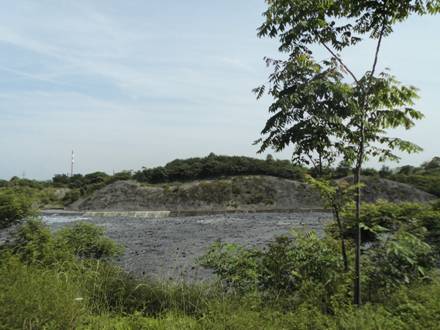 【美麗中國(guó)長(zhǎng)江行】青山綠水還于民：探訪長(zhǎng)壽區(qū)可持續(xù)綠色發(fā)展新道路