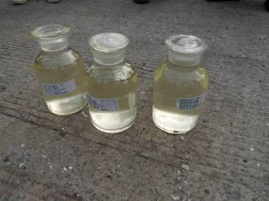 【美麗中國(guó)長(zhǎng)江行】青山綠水還于民：探訪長(zhǎng)壽區(qū)可持續(xù)綠色發(fā)展新道路