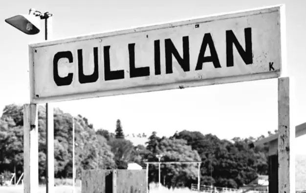 梅根鉆戒成“網紅”,哈里親手設計,致敬戴安娜,但和女王的鉆石庫里南比起來……