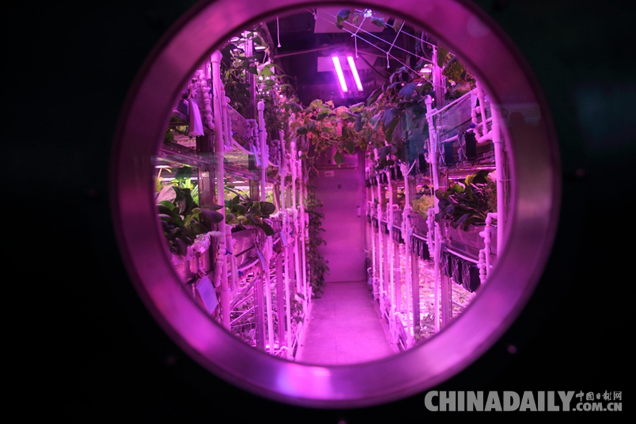 “月宮365實(shí)驗(yàn)”今日出艙 再創(chuàng)世界紀(jì)錄