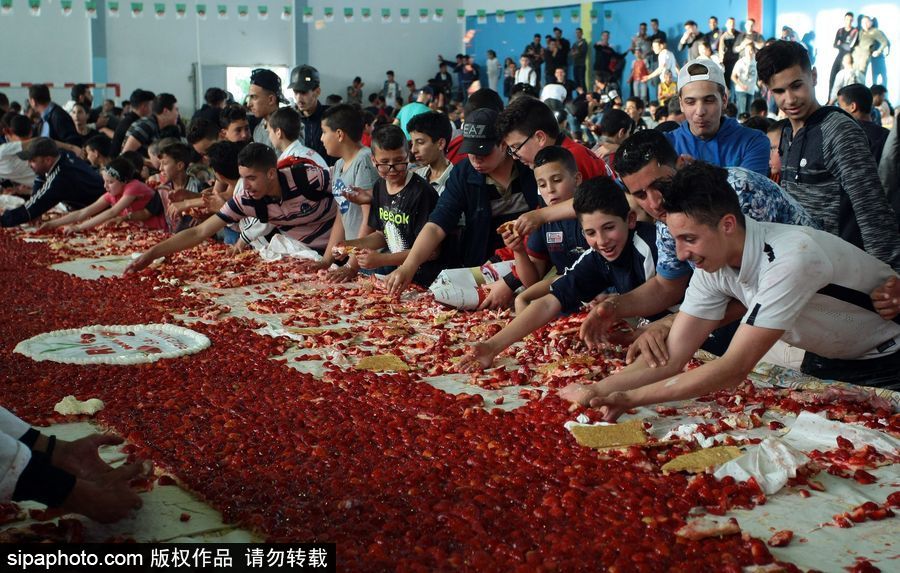 阿爾及利亞誕生世界最大草莓派 高達47.79米寬3米