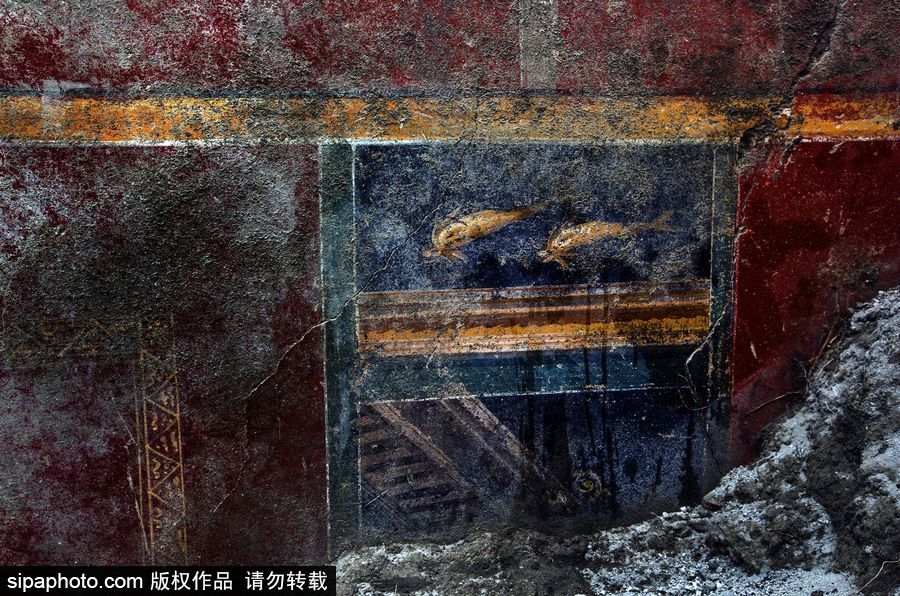 意大利考古隊發現龐貝古城建筑群“海豚之屋” 罕見保持完好