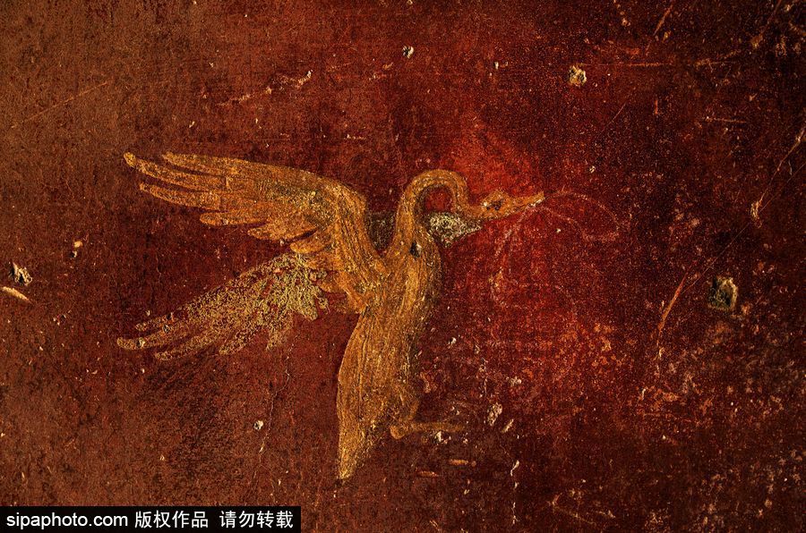 意大利考古隊發現龐貝古城建筑群“海豚之屋” 罕見保持完好