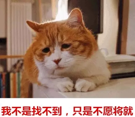 你單身的原因找到了！最新調(diào)查：七成人不愿將就，半數(shù)男生看臉