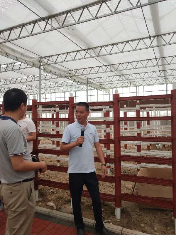 徜徉“農業海洋” 全國網媒參觀印智航天農業產業園