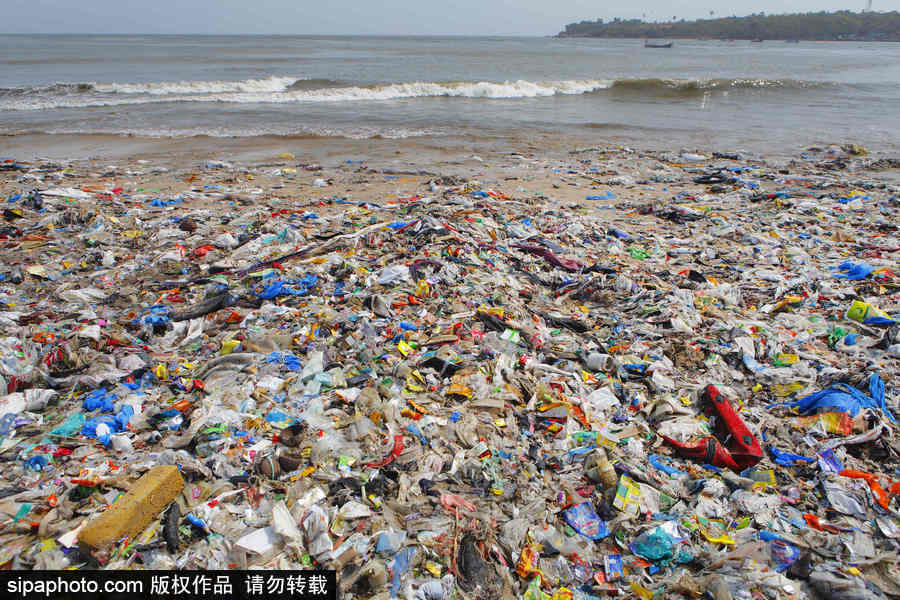 印度海灘成垃圾場 環保志愿者數年如一日堅持清理