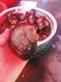 來青島開會，就順便逛吃逛吃山東吧！