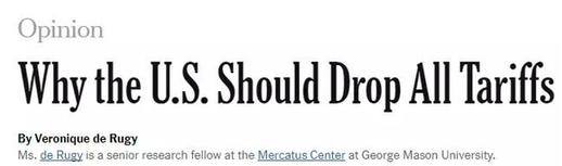 專家懟人果然有文化,批特朗普:“關稅猛藥”治不好“逆差病”,反要了性命丨外媒說