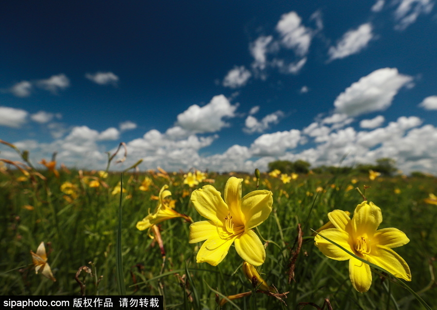 遠離塵囂的動物棲息地 探訪俄羅斯別廖佐夫斯基自然保護區