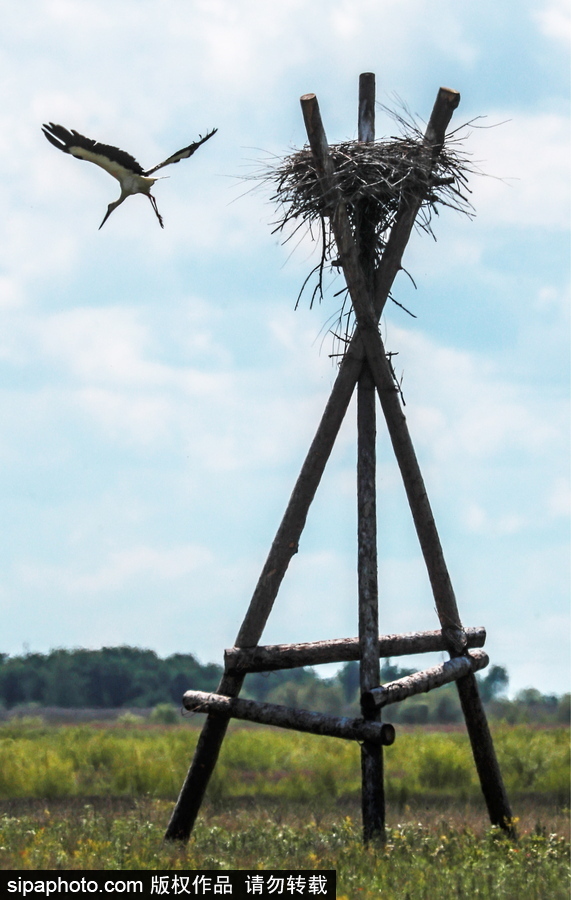 遠(yuǎn)離塵囂的動物棲息地 探訪俄羅斯別廖佐夫斯基自然保護(hù)區(qū)