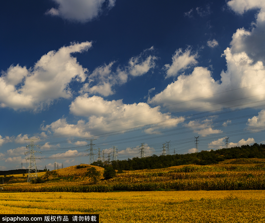 藍(lán)天白云刷屏！盤點風(fēng)清日朗的絕美風(fēng)光 為眼睛降溫