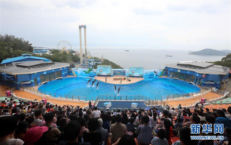 滌濁揚清、奮發有為——香港經濟社會發展一年間煥發新氣象