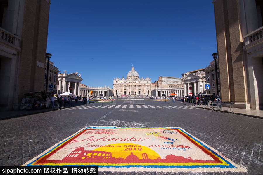 意大利羅馬舉行花毯節(jié) 鮮花地毯五彩繽紛美如畫(huà)