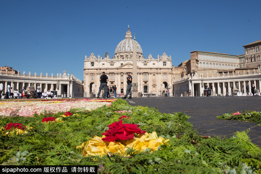 意大利羅馬舉行花毯節 鮮花地毯五彩繽紛美如畫