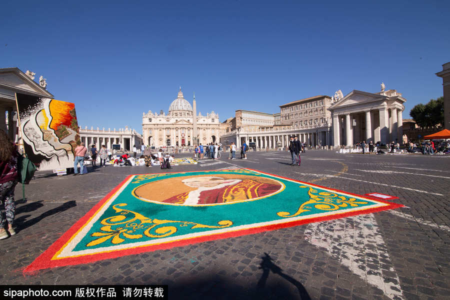 意大利羅馬舉行花毯節(jié) 鮮花地毯五彩繽紛美如畫(huà)