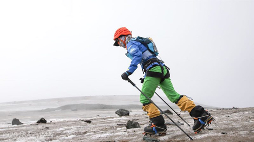 油菜花最美時節 跑友再聚青海門源