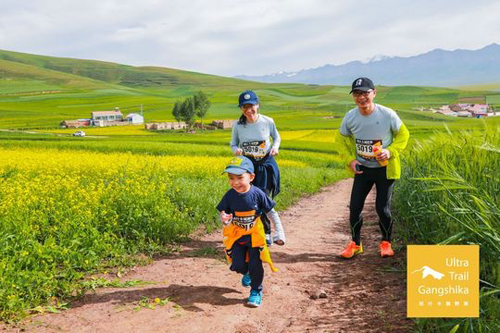 油菜花最美時節 跑友再聚青海門源