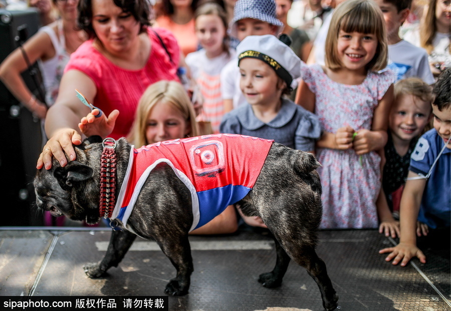 俄羅斯莫斯科“法國(guó)日”活動(dòng) 處處洋溢法蘭西元素