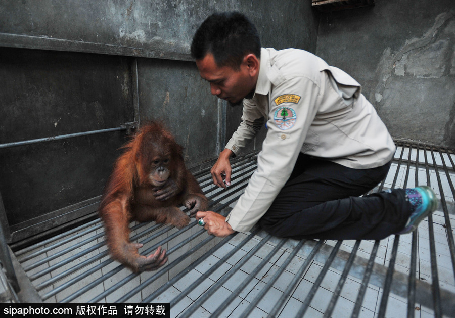 嚇?biāo)缹殞毩耍∮∧嵋恍尚捎揍瘫唤饩染o抱人不撒手