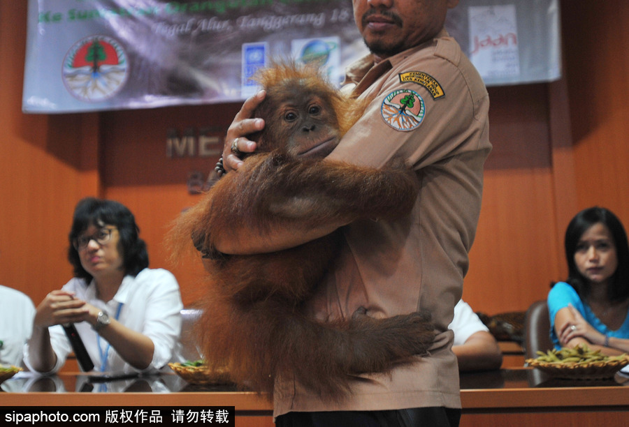 嚇?biāo)缹殞毩耍∮∧嵋恍尚捎揍瘫唤饩染o抱人不撒手