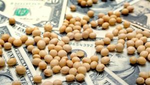 貿易戰讓愛荷華州大豆成為受害者,到底怪誰?!這州網友齊吐槽