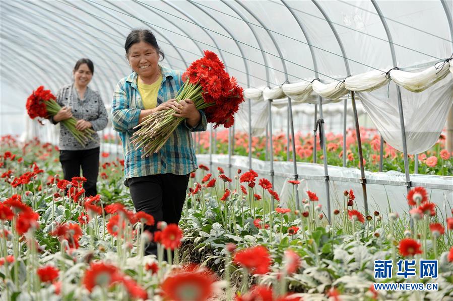 擘畫新時(shí)代中國發(fā)展新坐標(biāo)——深入推動(dòng)長江經(jīng)濟(jì)帶發(fā)展述評(píng)
