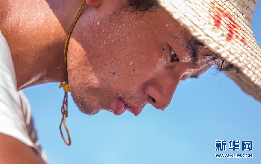 高溫下的城市建設者