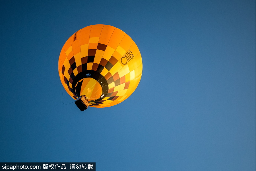 田野上放飛的彩色希望！俄羅斯下諾夫哥羅德舉辦熱氣球節