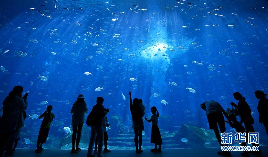 三亞迎來(lái)暑期旅游旺季