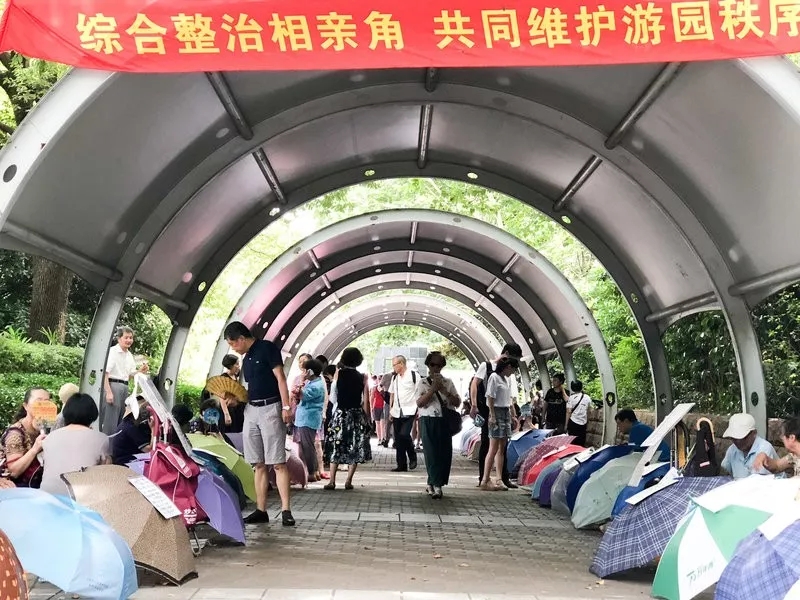 外媒說:為什么現在年輕人不著急結婚?美媒:因為更多女性經濟獨立