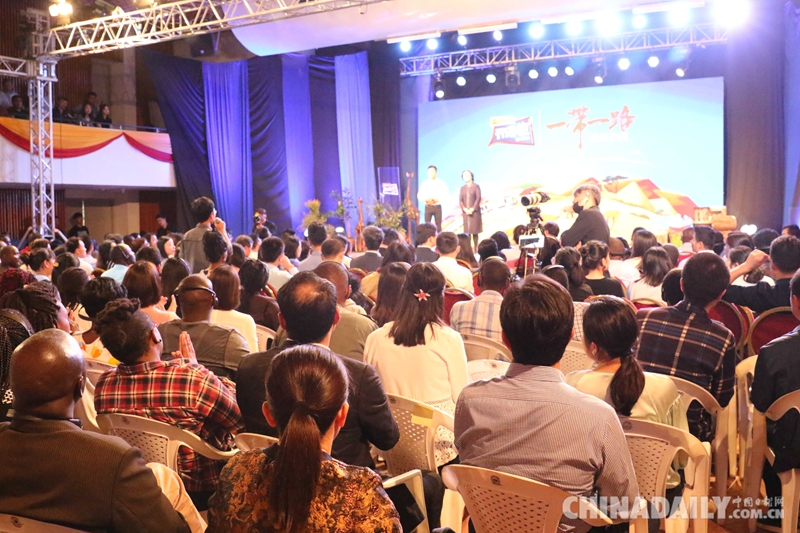 孫保紅大使：中非文明交流一直走在人類(lèi)文明互鑒的前列