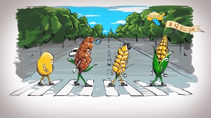 身為堅果，生活不易 | Animation: For a nut, life is hard