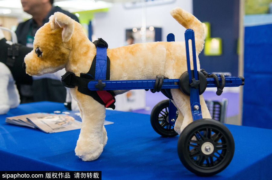 2018南美寵物展：各款萌寵及周邊產品亮相巴西圣保羅