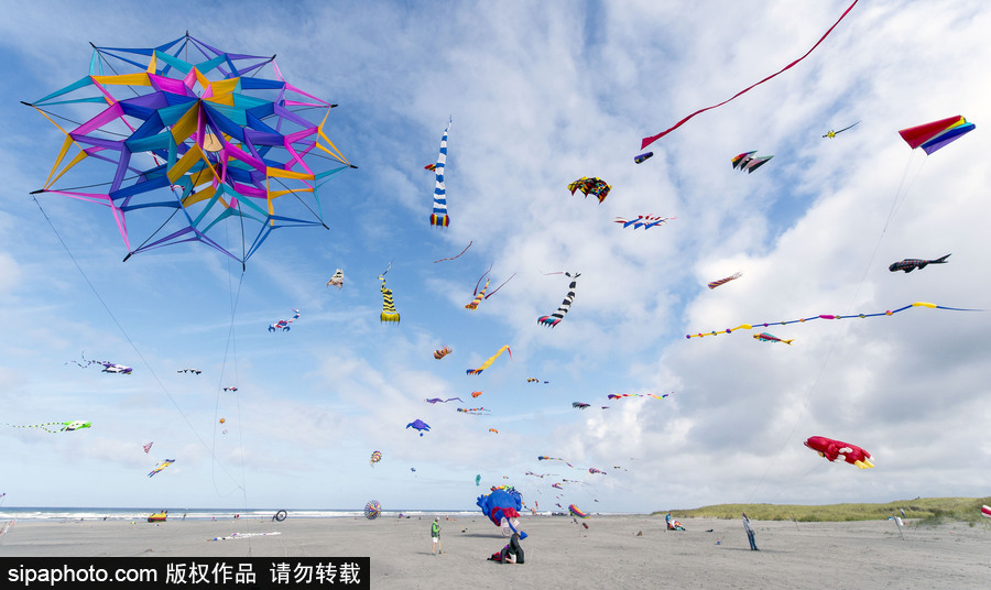 造型夸張可愛場面壯觀 美國華盛頓州國際風(fēng)箏節(jié)如約而至
