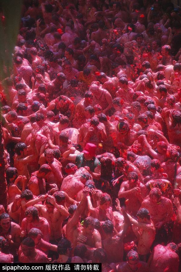 “血色”浪漫！直擊西班牙番茄節(jié)現(xiàn)場(chǎng) 互擲番茄毫不手軟