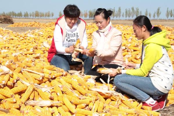 阿榮旗糧產(chǎn)創(chuàng)紀錄,13億人每人又多三斤糧