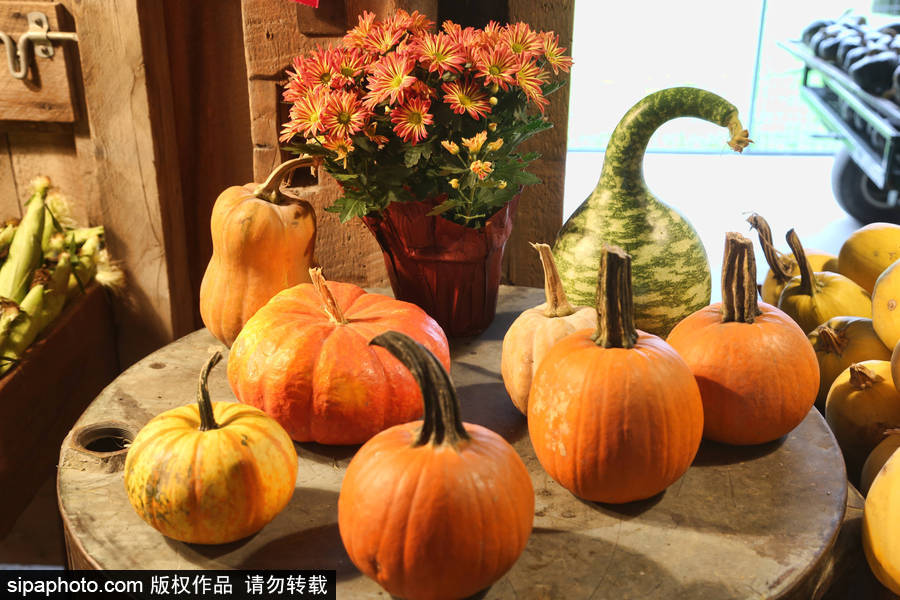 加拿大安大略?。耗信仙冽R出動！數百人參加南瓜節慶?；顒?/></p>

<p>當地時間2018年10月7日，加拿大安大略省，安大略省列治文山南瓜節。南瓜節在感恩節周末舉行，數百人參加了此次慶?；顒?。</p>
</div>

<div width=