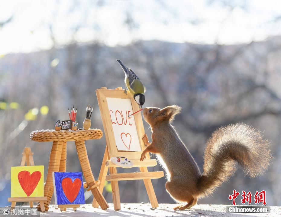 被萌到了！小松鼠變身“畫(huà)家”繪紅葉