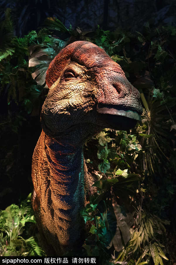 西班牙：身臨其境！《侏羅紀世界：墮落的王國》展覽在馬德里舉行