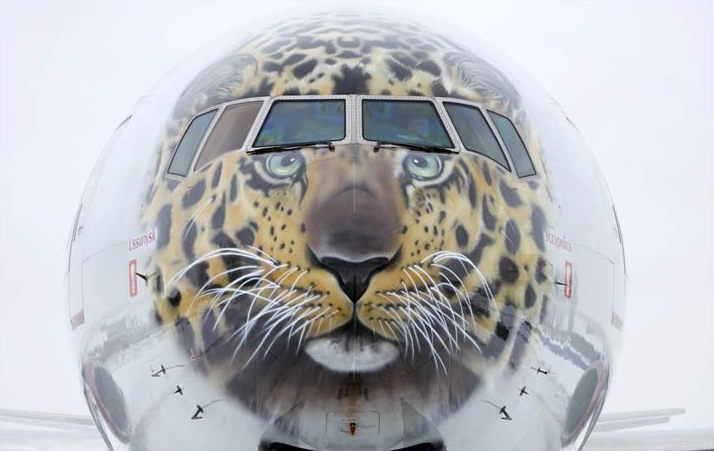 俄推出“阿穆?tīng)柋?#8221;彩繪涂裝飛機(jī)