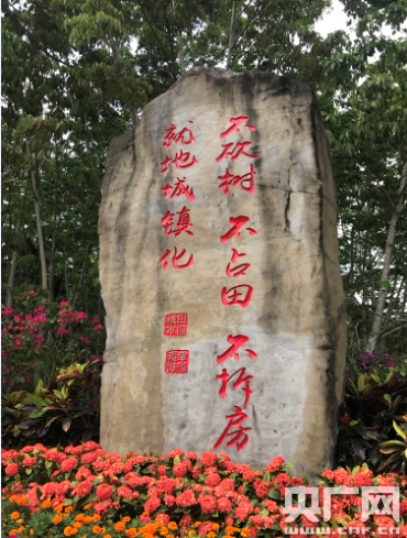 潮起海之南：特區(qū)海南，海南特色