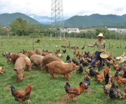 半月談非公企業黨建共建簽約儀式在京舉行