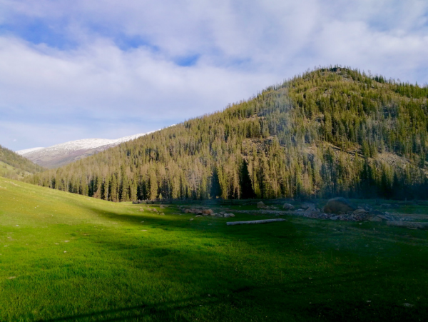 新疆兩河源自然保護區2018首現雪豹行蹤