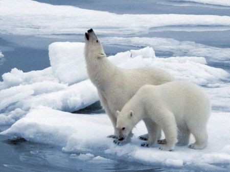 懶人包：關于巴黎氣候大會，這里有你想知道的一切