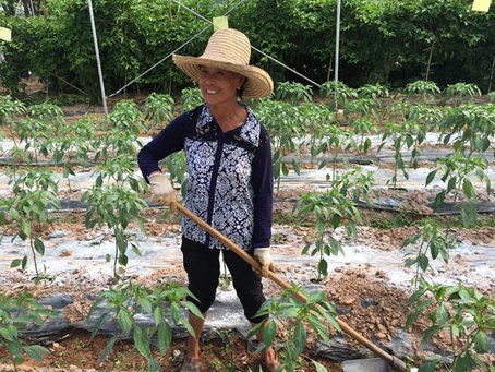 重走長征路,看江西精準(zhǔn)扶貧使出“洪荒之力”