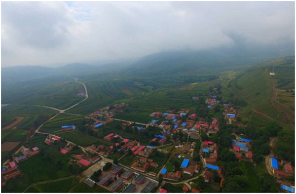 楊嶺村扶貧記:養牛路上奔小康