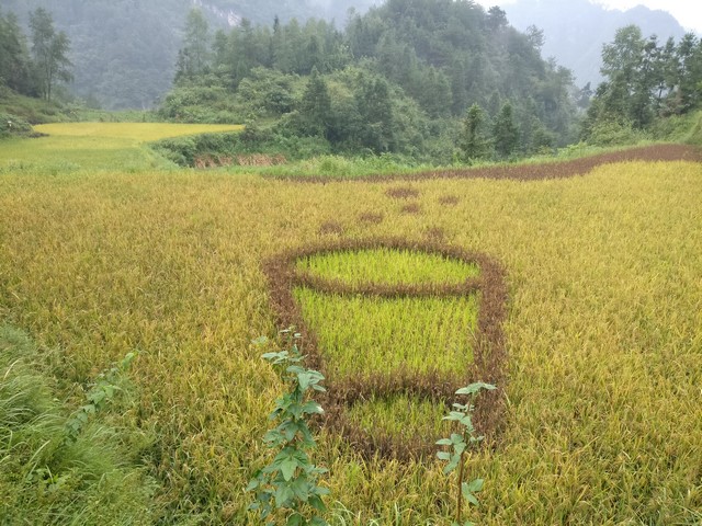 【網絡媒體走轉改】扶貧亦扶志 湘西脫貧記